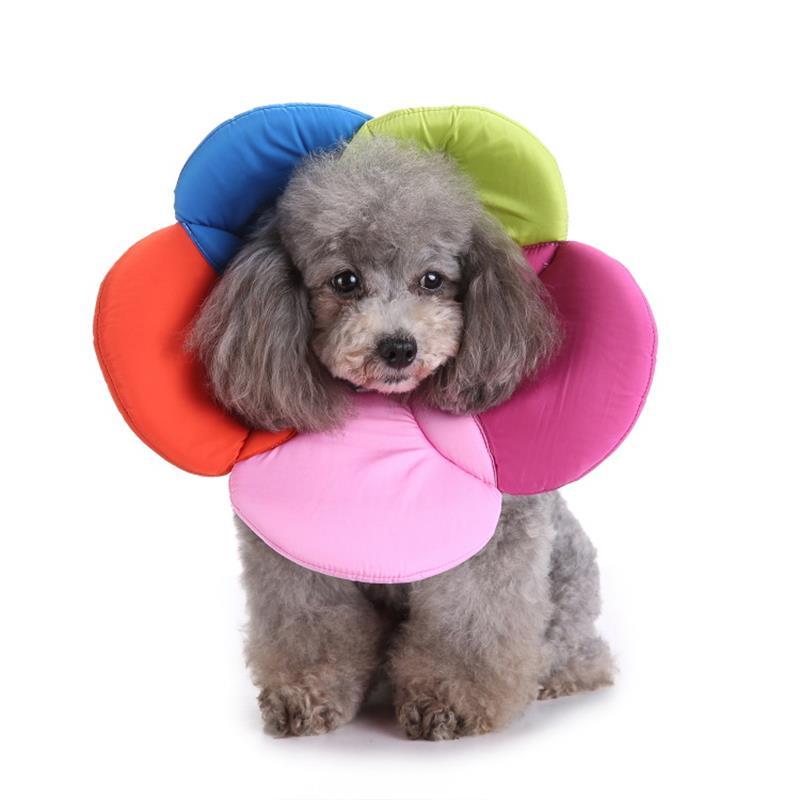 Pet Protective Collar – Soft & Comfortable Recovery Cone for Dogs & Cats